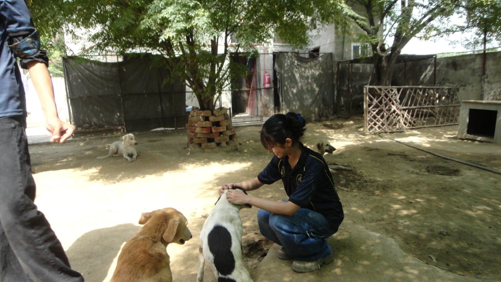 Visit to TWS — photo 12