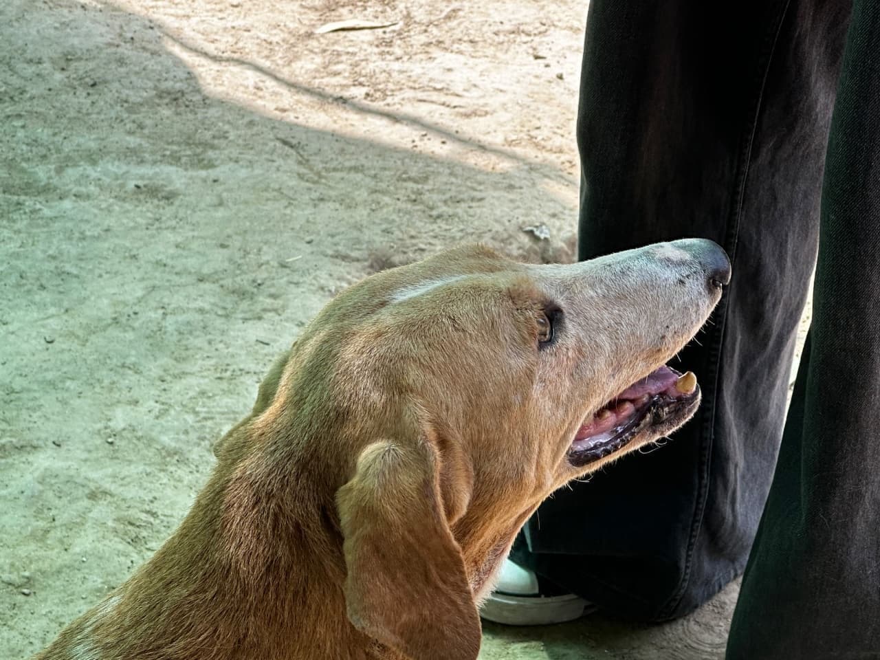 Visit to TWS — photo 21