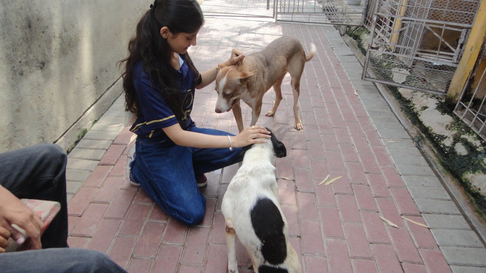 Visit to TWS — photo 25