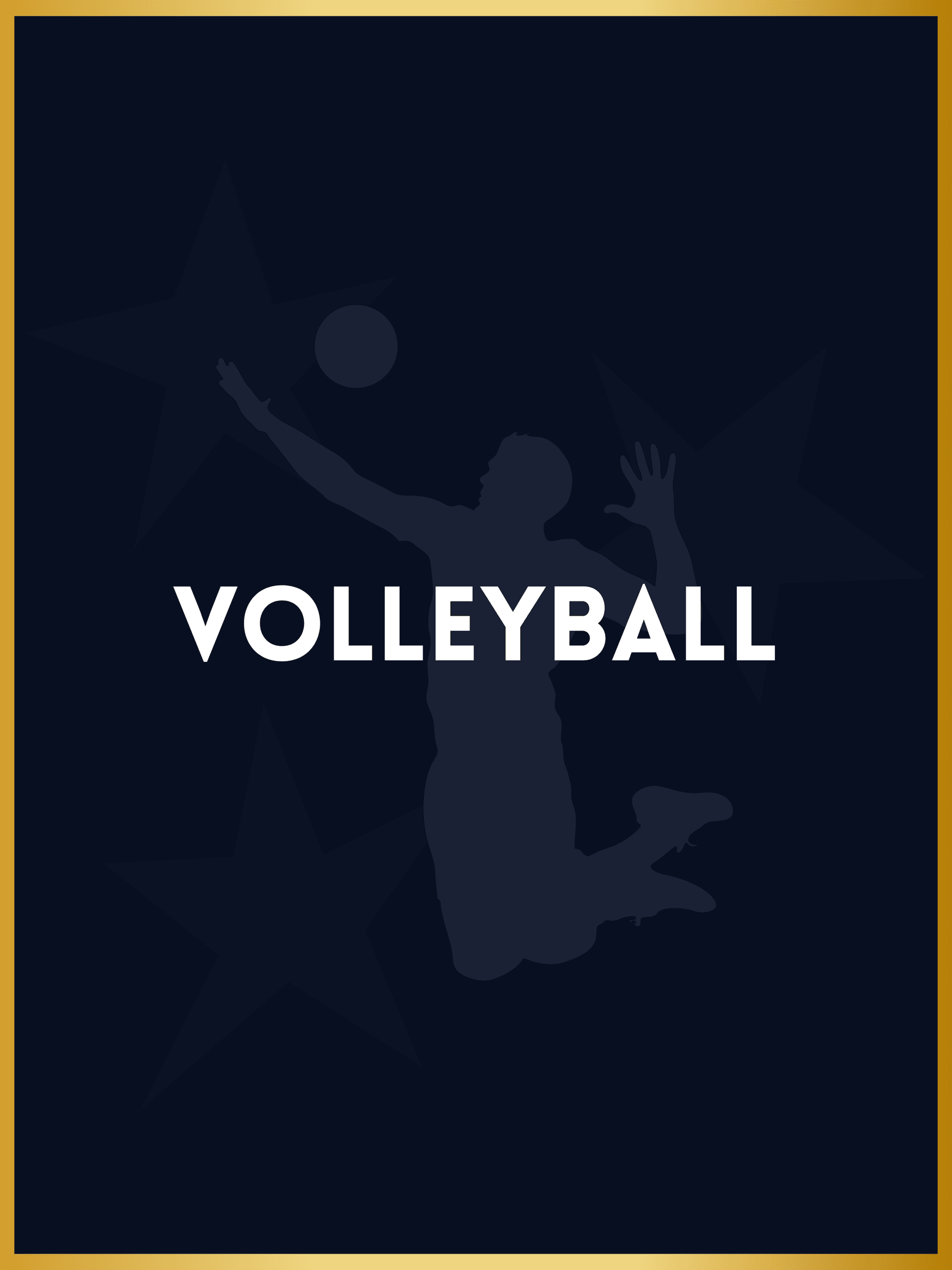 Volleyball — Saagar Sportsfest category